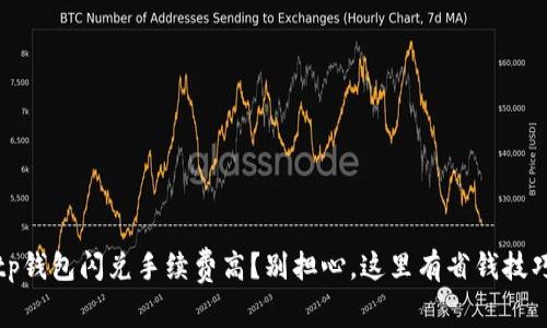 tp钱包闪兑手续费高？别担心，这里有省钱技巧