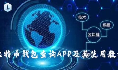 比特币钱包查询APP及其使用教程