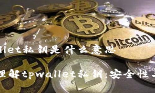 tpwallet私钥是什么意思

深入理解tpwallet私钥：安全性与应用