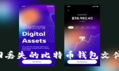 : 如何找回丢失的比特币钱包文件：详细指南