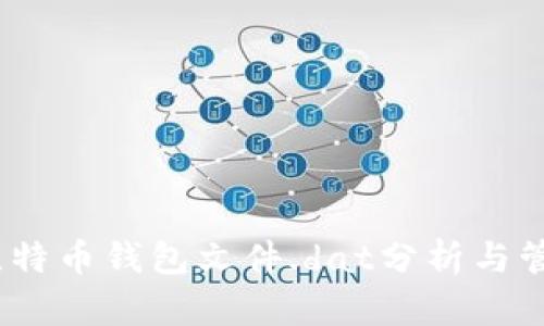 16个比特币钱包文件.dat分析与管理指南