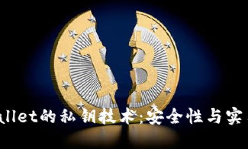  深入了解TPWallet的私钥技术：安全性与实用性的完美结合