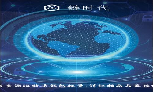 如何查询比特币钱包数量：详细指南与最佳实践