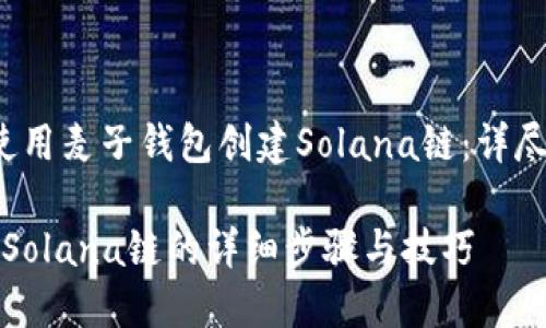 caption如何使用麦子钱包创建Solana链：详尽指南/caption

麦子钱包创建Solana链的详细步骤与技巧