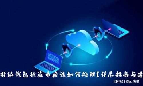 比特派钱包被盗币后该如何处理？详尽指南与建议