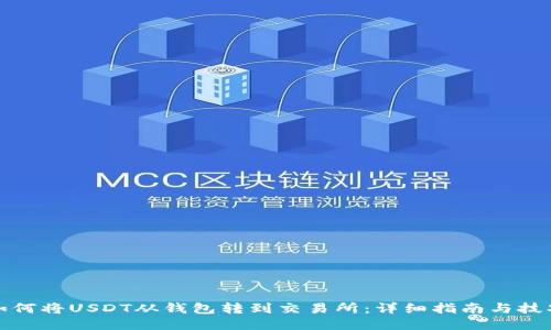 如何将USDT从钱包转到交易所：详细指南与技巧