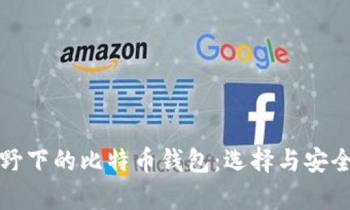 全球视野下的比特币钱包：选择与安全性分析