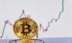 如何删除TPWallet记录的详细步骤TPWallet是一款流行