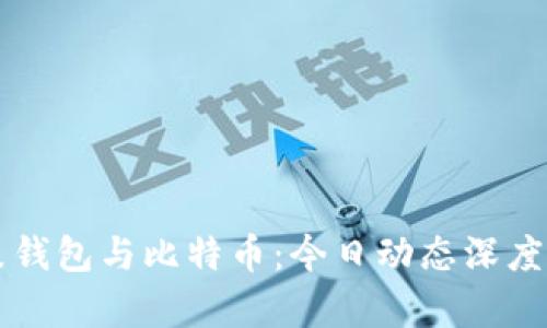 鼓鼓钱包与比特币：今日动态深度解析