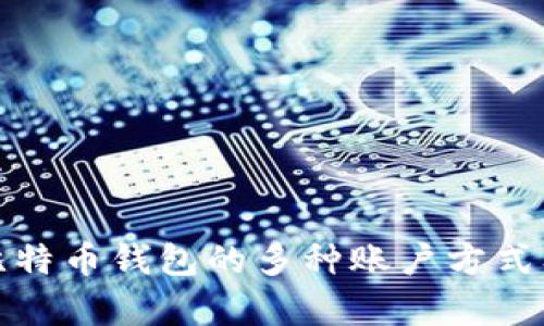 深入分析比特币钱包的多种账户方式及其安全性