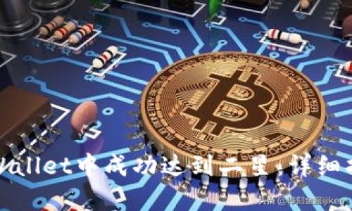 如何在TPWallet中成功达到二星：详细指南与策略
