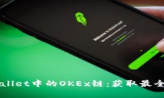 理解TPWallet中的OKEx链：获取最全面的指南