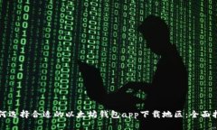 如何选择合适的以太坊钱包app下载地区：全面指