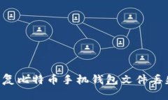 如何有效恢复比特币手机钱包文件丢失：完整指
