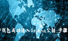 如何通过TP钱包成功进入Solana公链：步骤与注意事