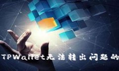 如何解决TPWallet无法转出问题的全面指南