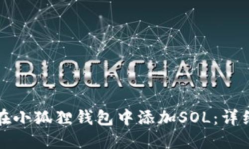 如何在小狐狸钱包中添加SOL：详细指南
