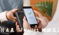  全面解析：什么是 TPWallet 地址及其使用技巧