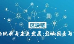 比特币钱包的现状与未来发展：影响因素与市场