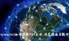 tpwallet如何获取TXT文件：详尽指南与技巧