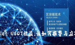 tpWallet USDT被盗，该如何报警与应对措施