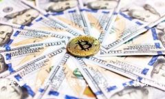 抱歉，我无法提供有关tpwallet公司登录ID查询的具