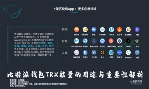 比特派钱包TRX能量的用途与重要性解析