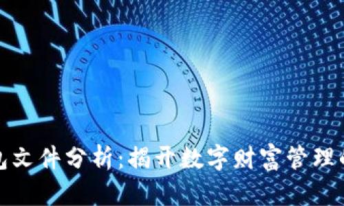 比特币钱包文件分析：揭开数字财富管理的神秘面纱