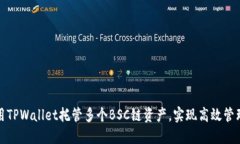 如何使用TPWallet托管多个BSC链资产，实现高效管理