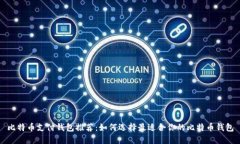 比特币支付钱包推荐：如何选择最适合你的比特