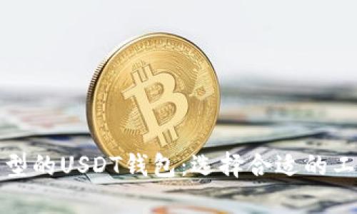 全面解析不同类型的USDT钱包：选择合适的工具进行安全储存
