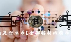 比特币钱包存放的是什么币？全面解析比特币及