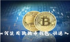 全面指南：如何使用狗狗币钱包，快速入门视频