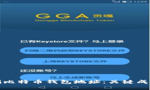 如何高效检测比特币钱包地址：关键成果与实用技巧