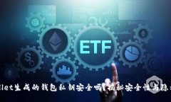 TPWallet生成的钱包私钥安全吗？揭秘安全性与隐私