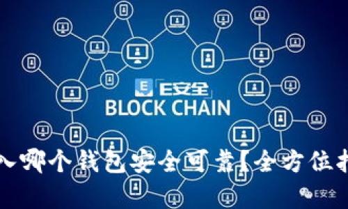 屎币存入哪个钱包安全可靠？全方位指南解析