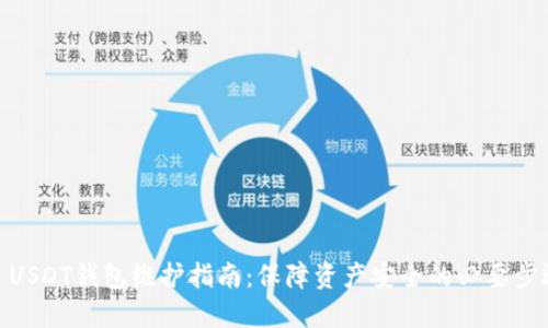 : USDT钱包维护指南：保障资产安全的必要步骤