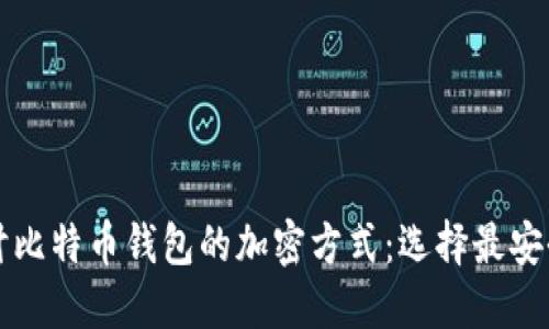 深入探讨比特币钱包的加密方式：选择最安全的选项