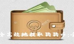 如何安全高效地提取狗狗币：全面指南