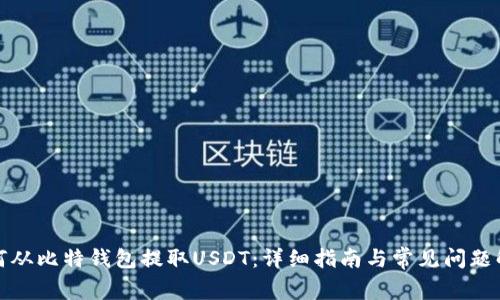 如何从比特钱包提取USDT：详细指南与常见问题解答