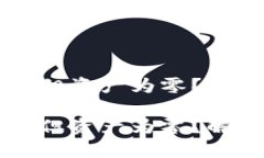 TPWallet交易记录存在但资产为零？解密可能原因与