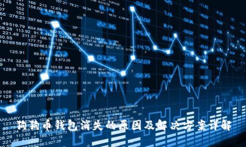 狗狗币钱包消失的原因及解决方案详解